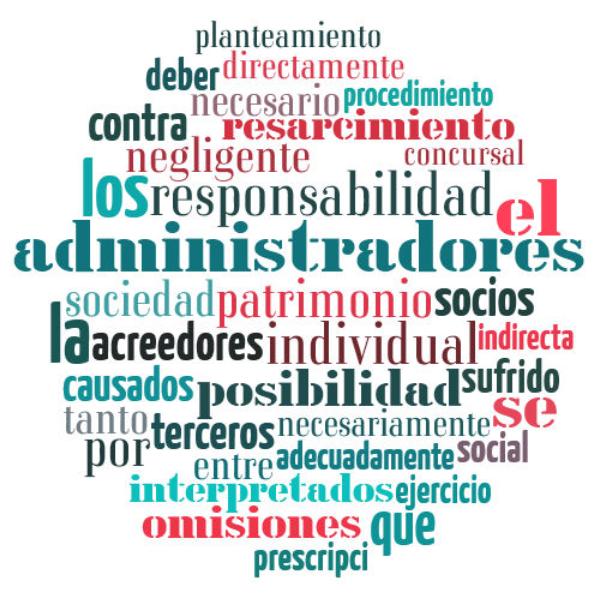 acción individual de responsabilidad