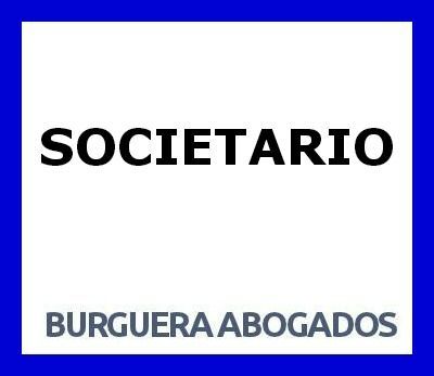 sociedad limitada profesional
