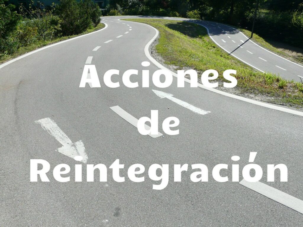 acciones de reintegracion