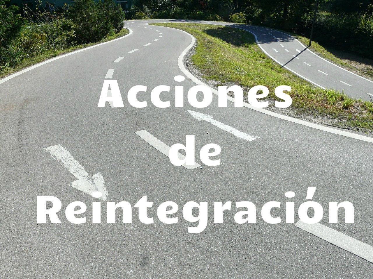 acciones de reintegracion