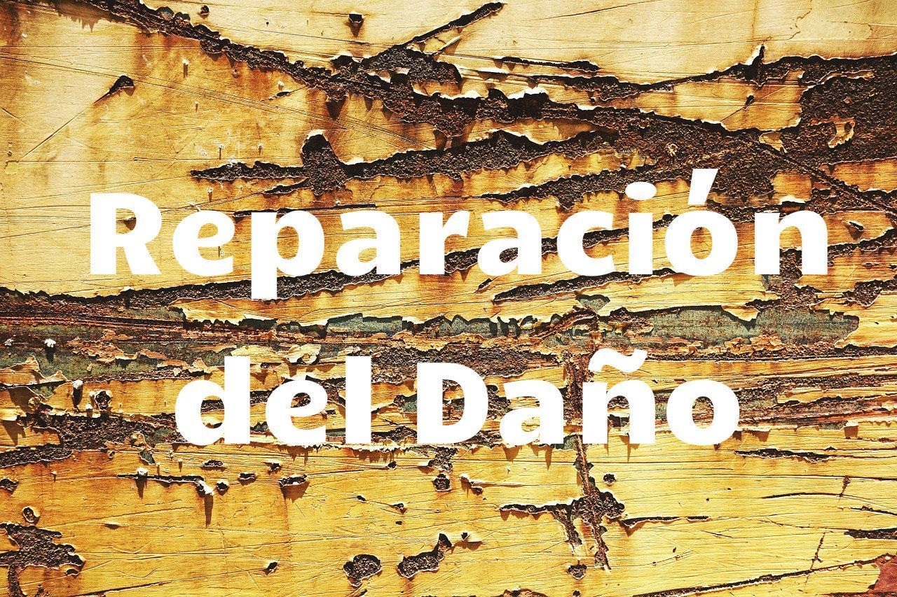 reparacion del daño