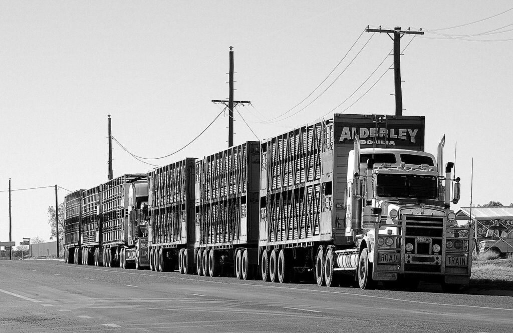 transporte terrestre